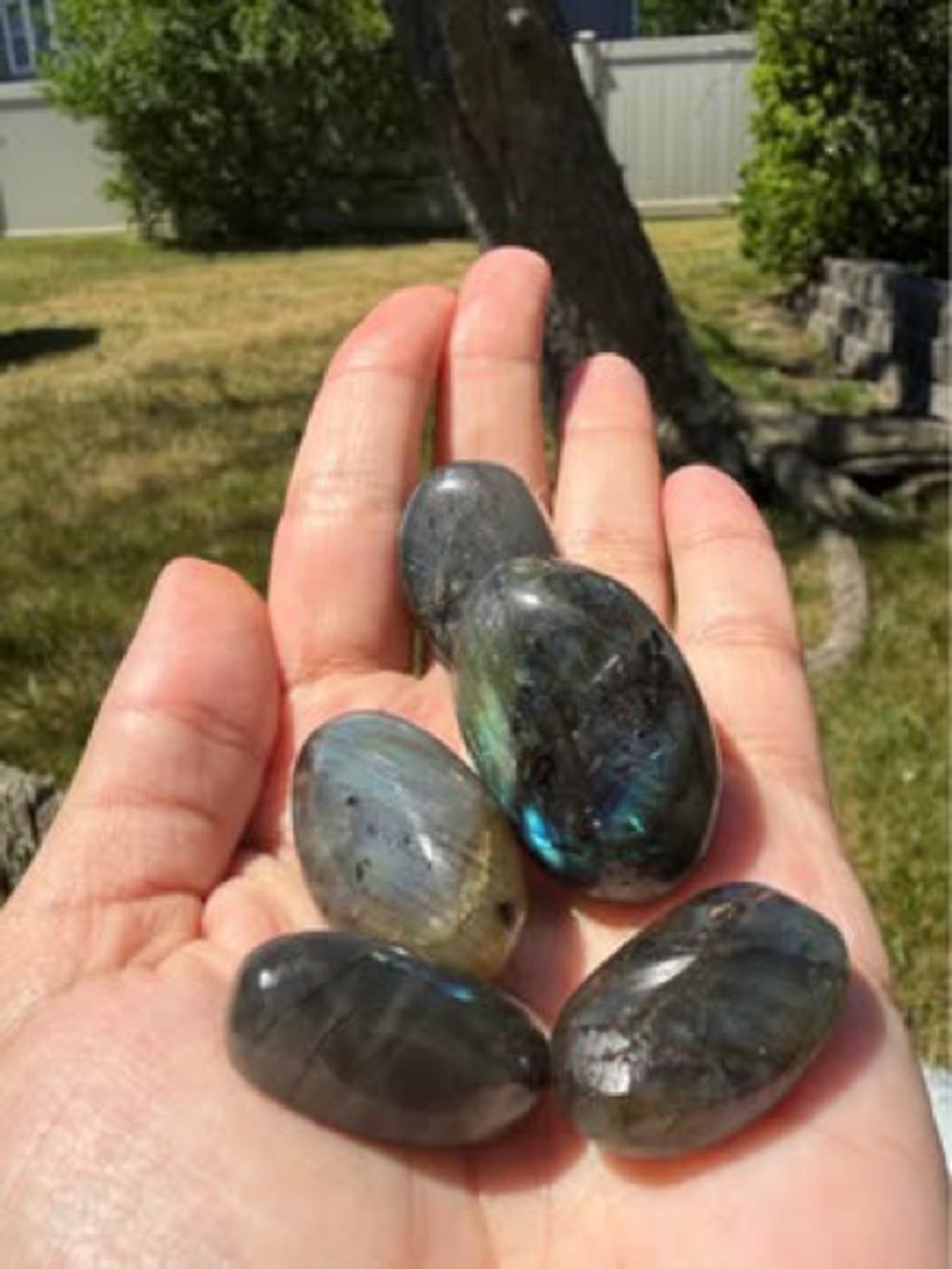 Labradorite Polished Tumbled Stones - Iridescent Gray/Blue Set